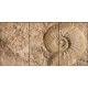 Ceramic tile mural - ammonites fossil