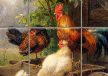 Kitchen tile mural - farm with rooster tile