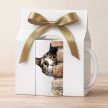 Balloon cat mug in gift box