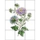 Csempekép mozaik - virág - Őszirózsa