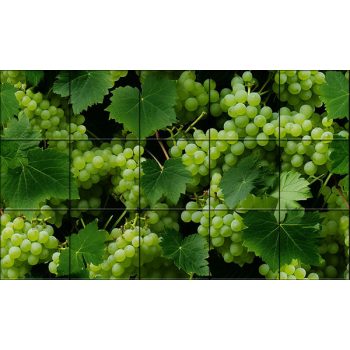 Szőlő mintás csempe konyhai hátfalra