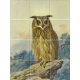 Ceramic tile mural - birds -Eagle owl 