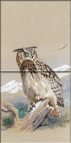 Ceramic tile mural - birds -Eagle owl II. (42x32 cm) 