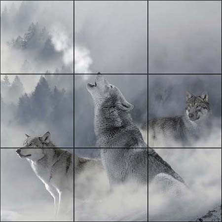 Tile mural - wildlife - wolves 