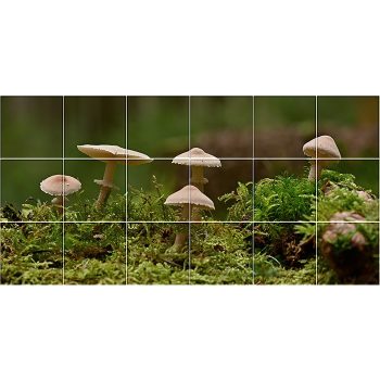 Ceramic tile mural - mosses and mushrooms  Ceramic tile mural - mosses and mushrooms
