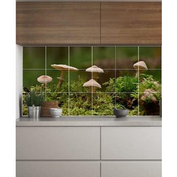 Mohák és gomba - konyha csempe (91x45 cm)