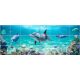 Delfines csempe