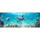 Tile mural - water world - dolphins 