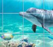 Bathroom tile with dolphins