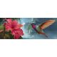 Kolibri és orchidea mintás fali csempe 