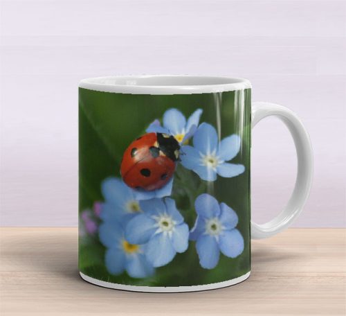 Ladybird mug