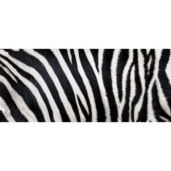 Zebra mintás bögre