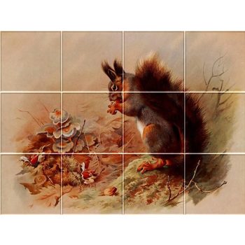 Tile mural - wildlife - squirrel  Tile mural - wildlife - squirrel