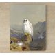 Ceramic tile mural - birds -Falcon 