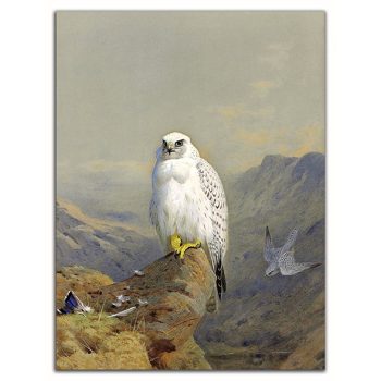 Ceramic tile trivet - birds -Falcon 