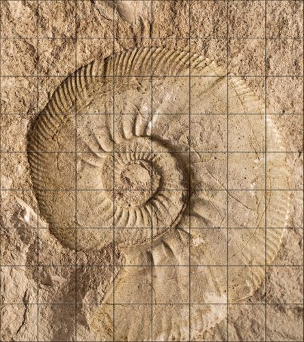 Ceramic tile mural - ammonites fossil