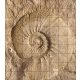 Fürdőszobai mozaik csempe őskövület mintával 180x160cm