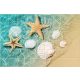 Seashells and starfish on sandy beach in shallow water – summer tile mural