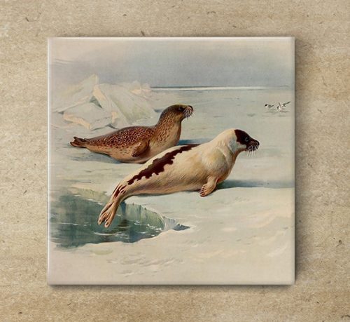 Tile trivet - water world -Ring seal 