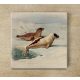 Tile trivet - water world -Ring seal 