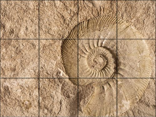 Ceramic tile mural - ammonites fossil