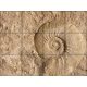 Ceramic tile mural - ammonites fossil