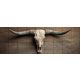 Tile mural with longhorn skull and wooden background