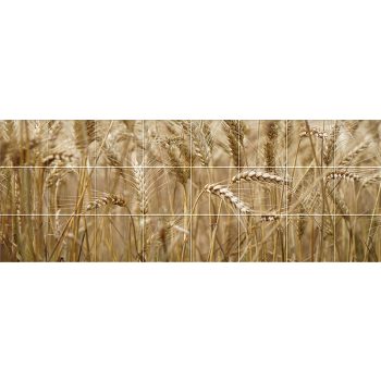 Búzakalász - Mozaik csempe (121x45 cm)