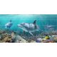 Tile mural - water world - dolphins 
