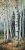 birch forest path with white trunks – ceramic tile mural