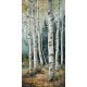 birch forest path with white trunks – ceramic tile mural