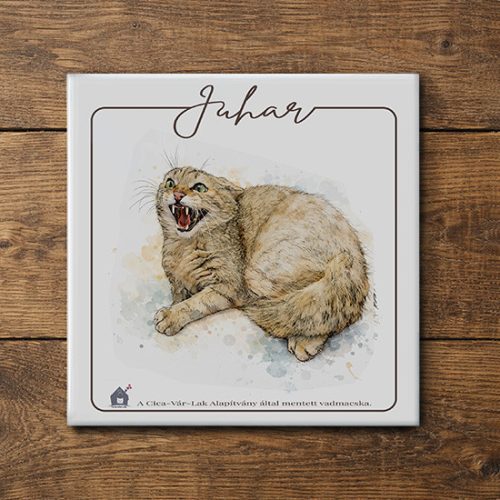 kerámia csempe - Juhar vadmacska