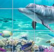 Tropical dolphin bathroom tile mural with coral reef and palm island
