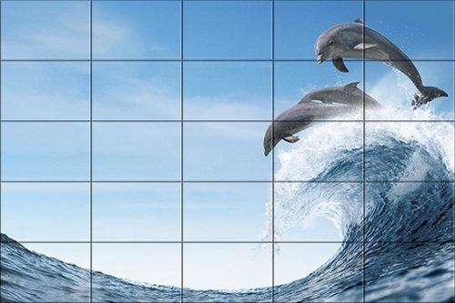 Tile mural - water world - curious dolphins 