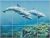 Tile mural - water world -dolphins 