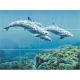 Tile mural - water world -dolphins 