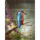 Ceramic tile mural - birds -Kingfisher II. 