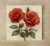 Red roses - ceramic tile trivet