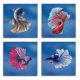Tile mural - fishes -Siamese fighting fish 