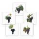 Ceramic tile mural - grapes 