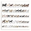 Ceramic tile trivet - farm - dog breeds 