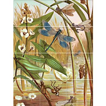 Ceramic tile mural - insects - Dragonflies  Ceramic tile mural - insects - Dragonflies