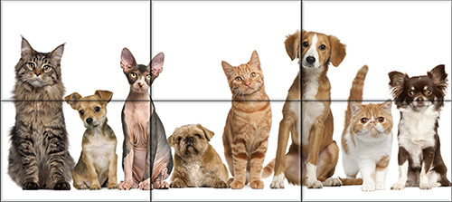 Ceramic tile mural - Cats and dogs II.