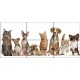 Ceramic tile mural - Cats and dogs II.