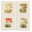 Tile set - mushrooms 