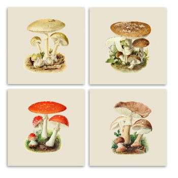 Tile set - mushrooms