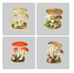 Tile set - mushrooms 