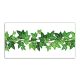 Ivy patterned border tile