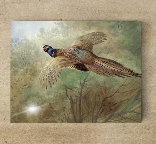 Tile mural - birds -Pheasant  