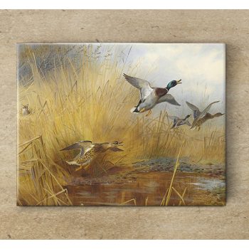 Tile trivet - wildlife -fox in the reeds 
